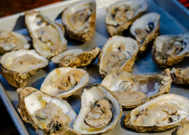 A tray of freshly shucked oysters on ice, served at a Frazie's supper club.